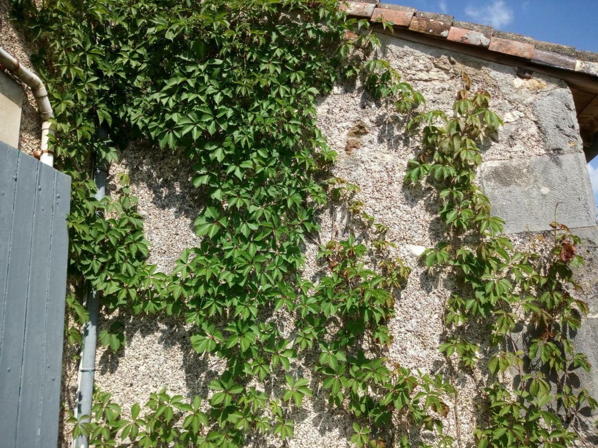 Le Petit Cochon chambre d` hotes Haims Extérieur photo